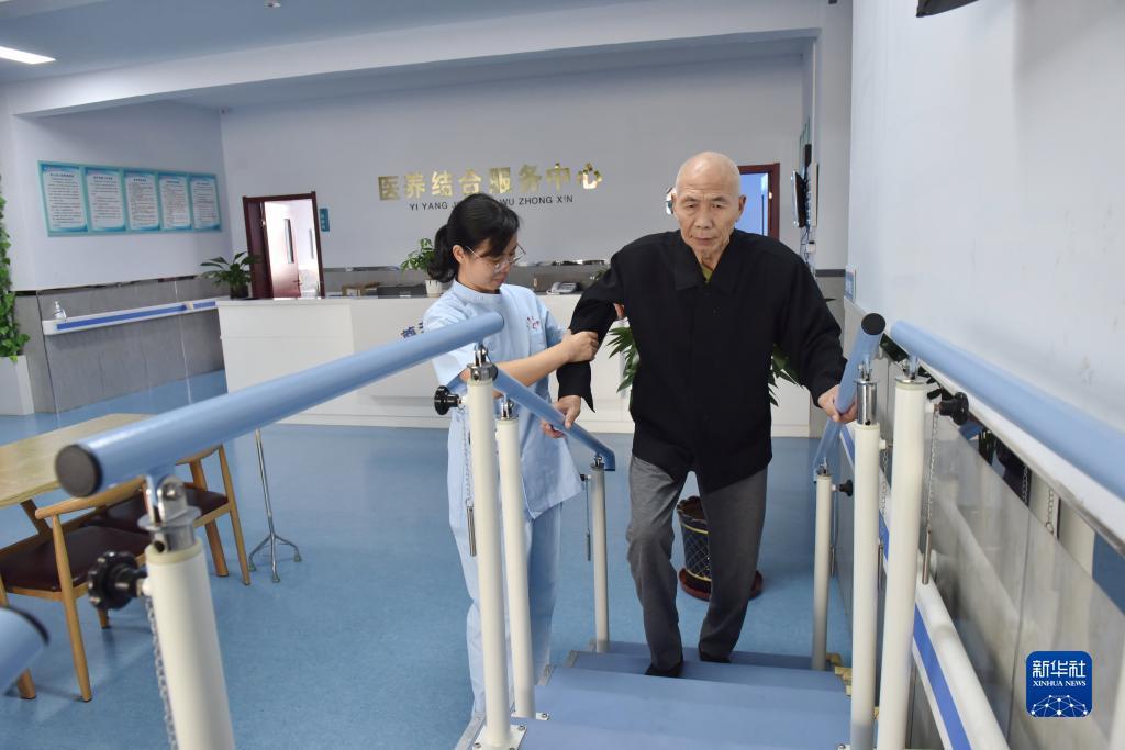 乐博乐博简介